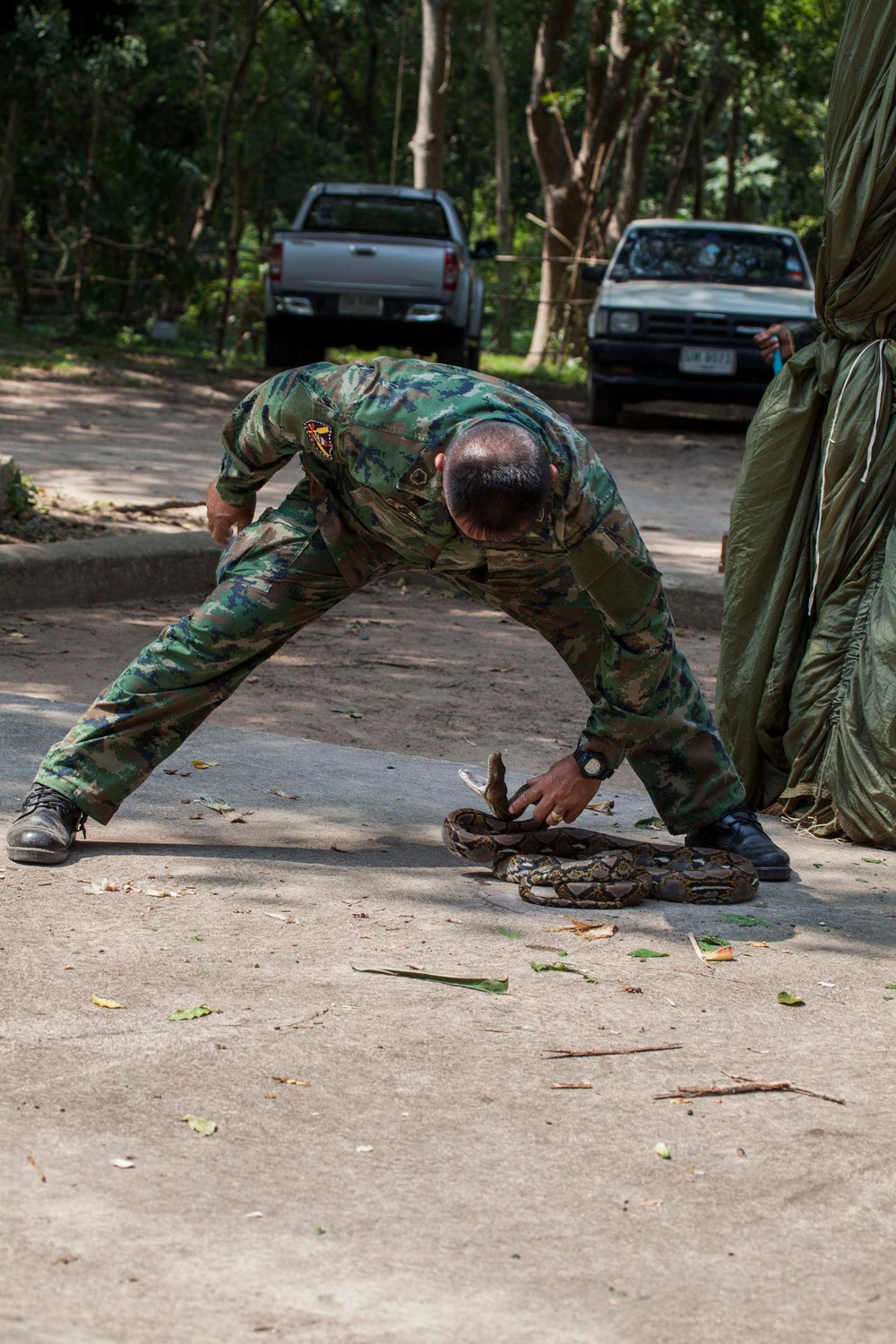 Jungle Survival Training Cobra Gold 16