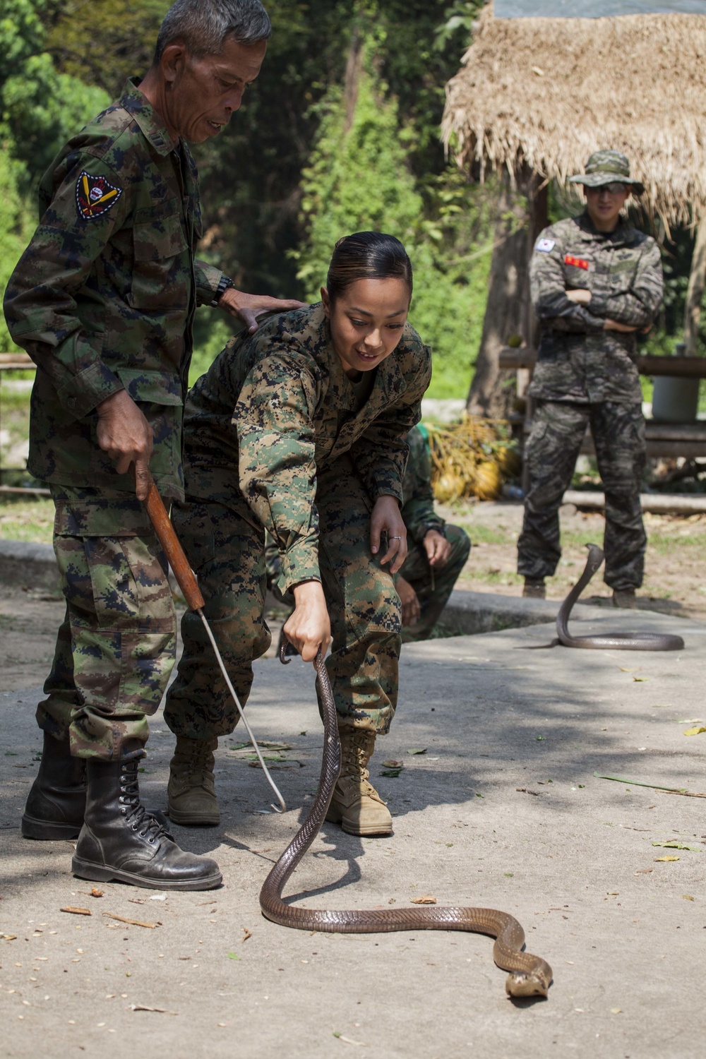 Jungle Survival Training Cobra Gold 16