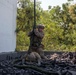 Marines Fast rope during Cobra Gold 16