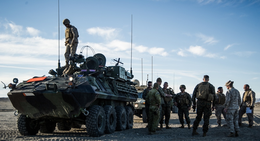 Mobile assault teams train at Integrated Training Exercise (ITX) 2-16