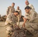 The British Army trains Nineveh Operations Command