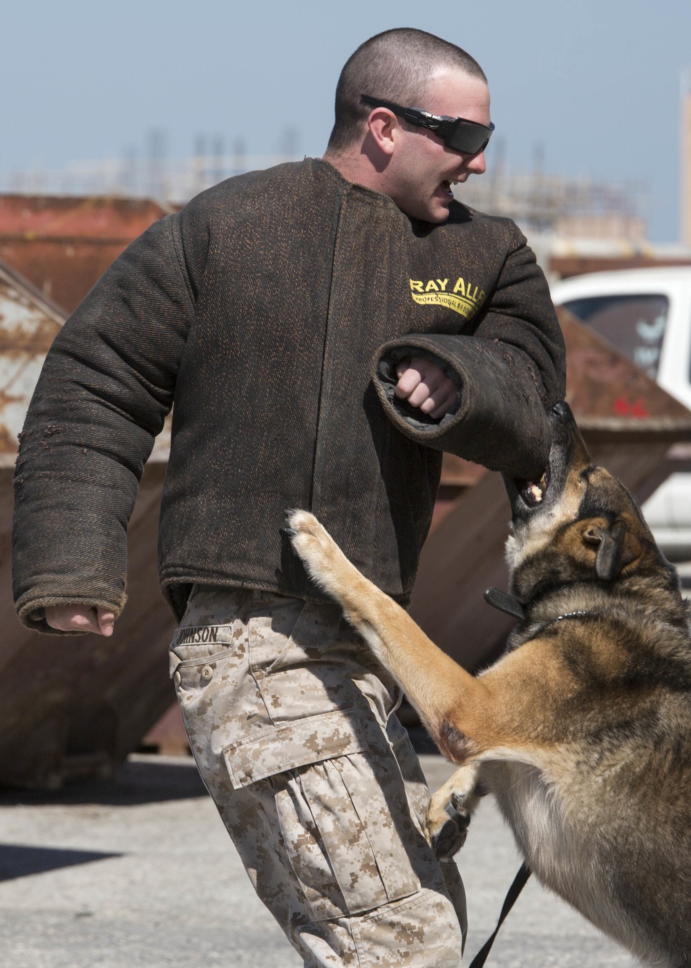 Arkansas, football and military working dogs