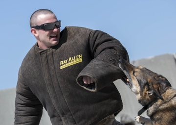Arkansas, football and military working dogs
