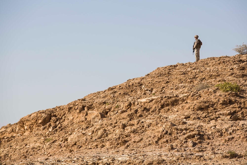 CLB-26, LAAD, and LE Marines conduct combat marksmanship drills during training exercise