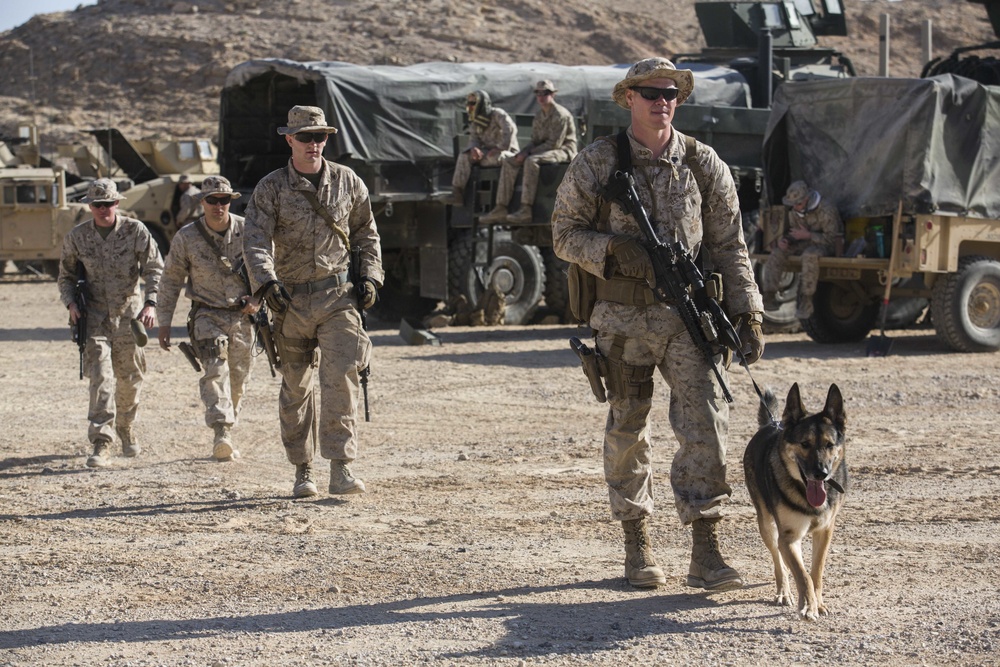 CLB-26, LAAD, and LE Marines conduct combat marksmanship drills during training exercise