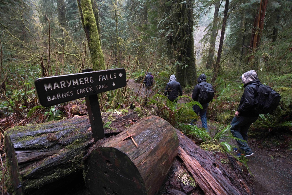 NBK MWR ventures to Olympic National Park