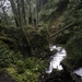 NBK MWR ventures to Olympic National Park