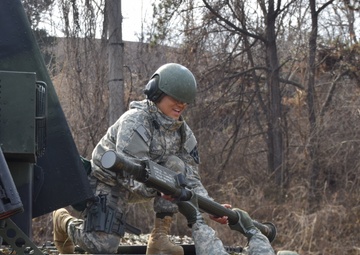 Avengers and Patriots partner for Air Defense exercise