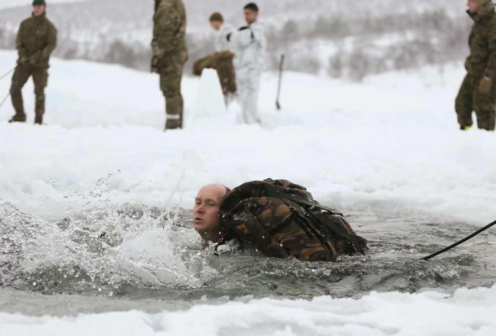 BSRF Marines take a dip in the Arctic Circle