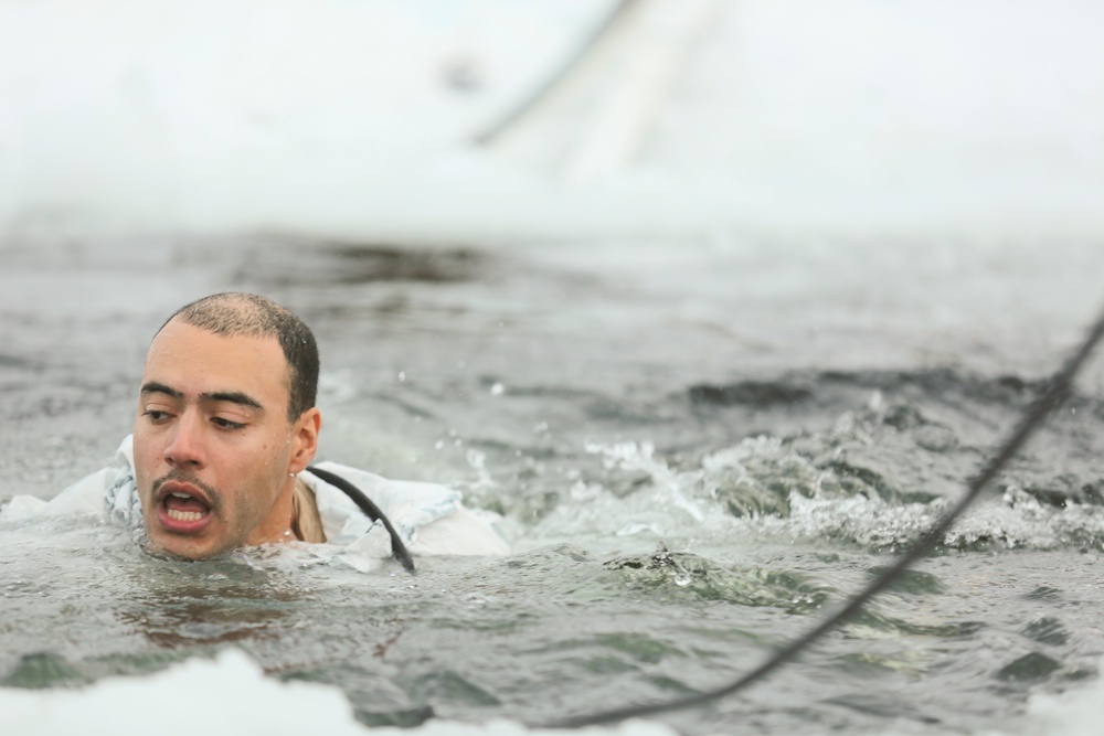 BSRF Marines take a dip in the Arctic Circle