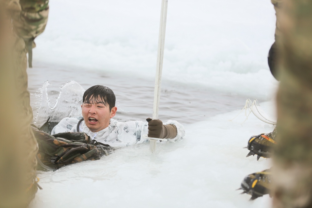 BSRF Marines take a dip in the Arctic Circle