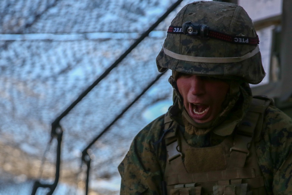 Fire for support: 1/10 supports TACP exercise