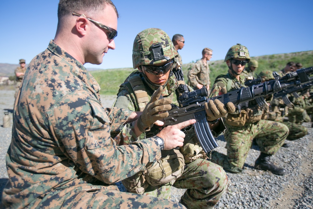 Exercise Iron Fist 2016: Combat Marksmanship