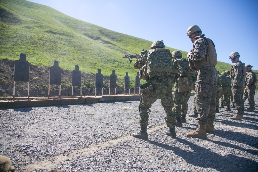 Exercise Iron Fist 2016: Combat Marksmanship