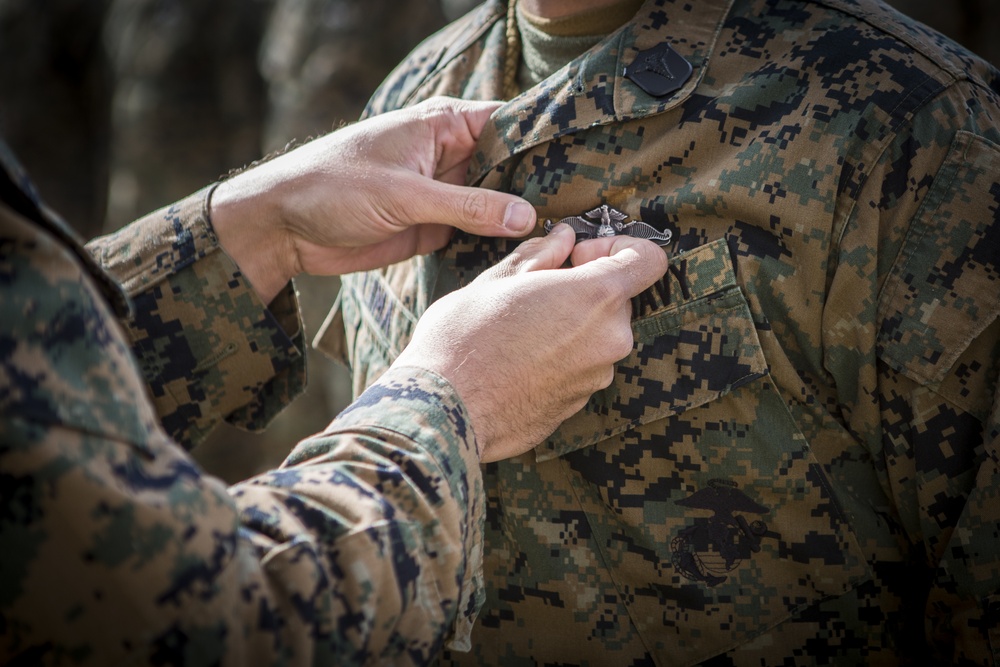 Fleet Marine Force Enlisted Warfare Specialist device pinning