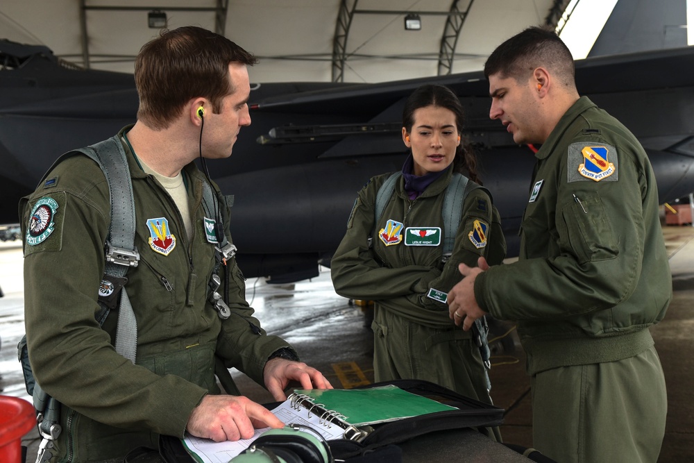 335th FS, 4th AMXS spouses receive unique Strike Eagle opportunity