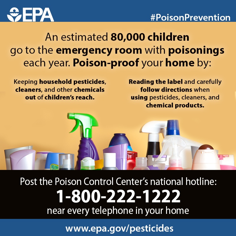 Poison-proof your home