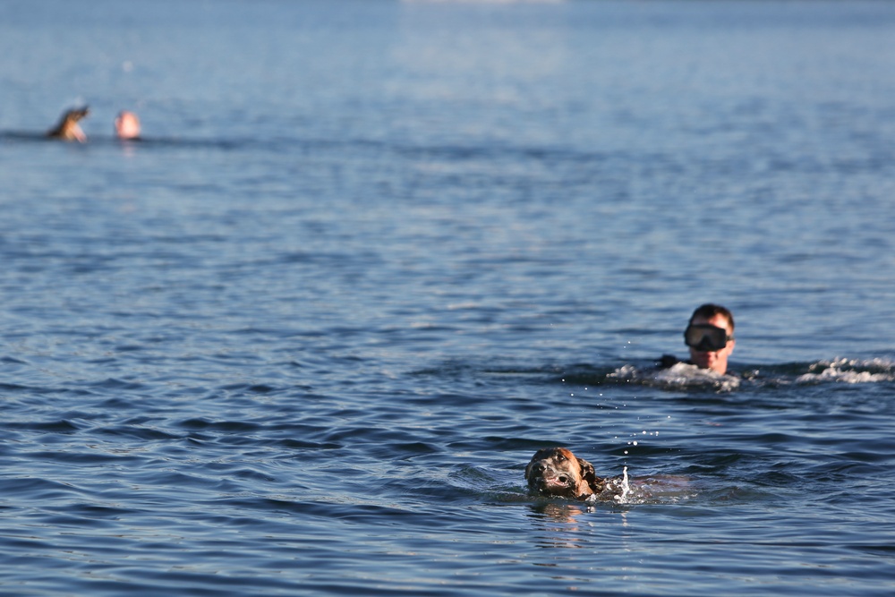 1st MSOB Canine Handler Surf Passage and Zodiac insert training