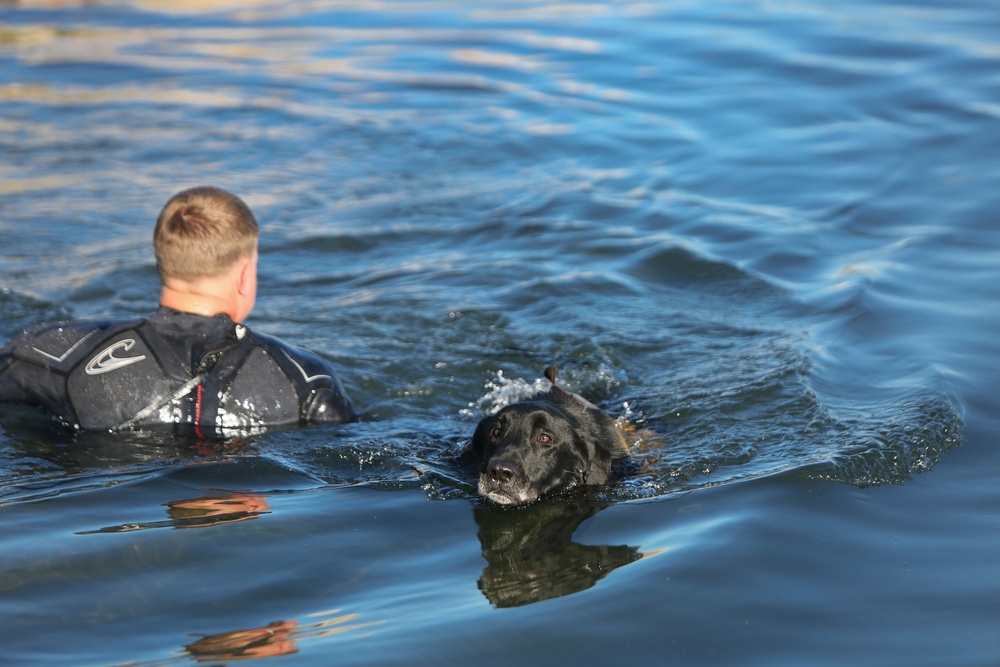 1st MSOB Canine Handler Surf Passage and Zodiac insert training