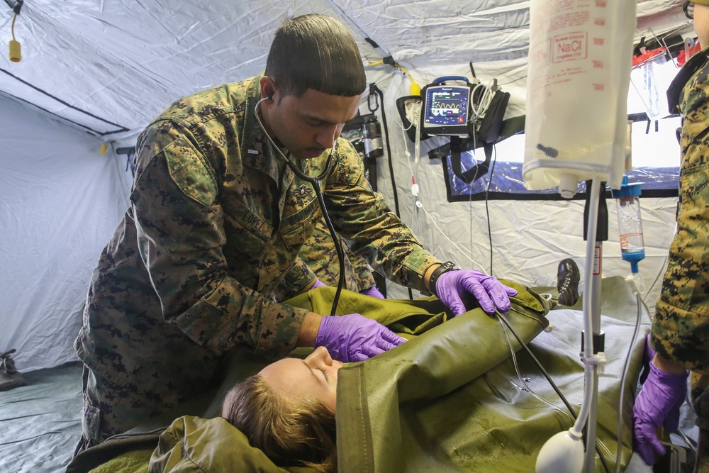 US Shock Trauma Squad simulates combat medical care with Norwegian Army