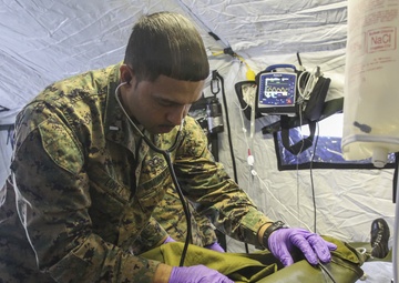 US Shock Trauma Squad simulates combat medical care with Norwegian Army