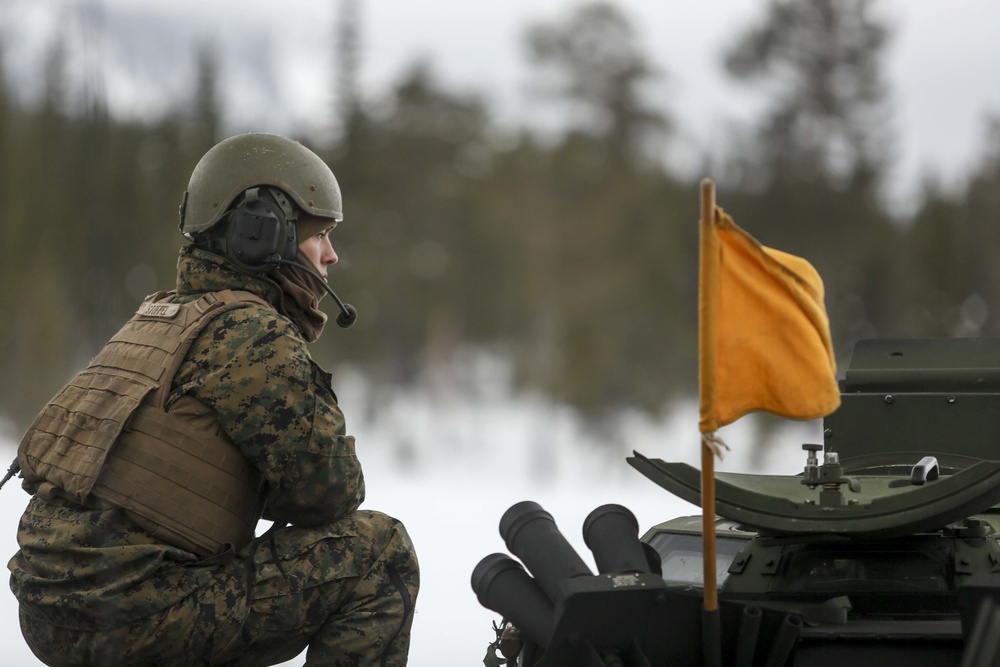 Combined arms and combined forces: U.S. Marines and Norwegian Army take to the firing line