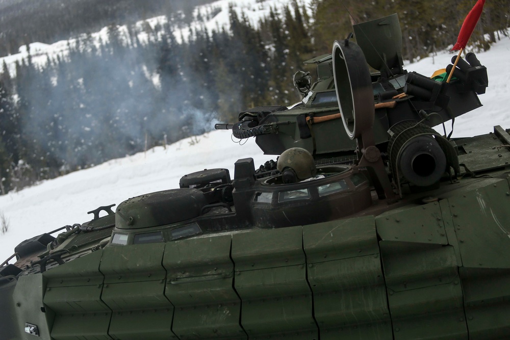 Combined arms and combined forces: U.S. Marines and Norwegian Army take to the firing line