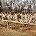 Charlie Company Obstacle Course