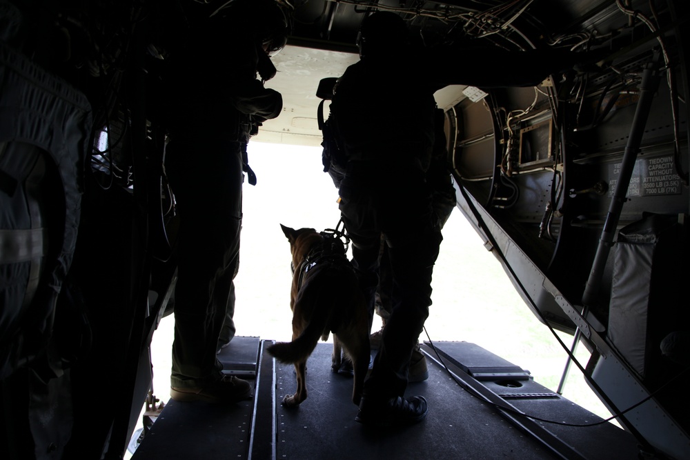 MARSOC K-9 Fast Roping