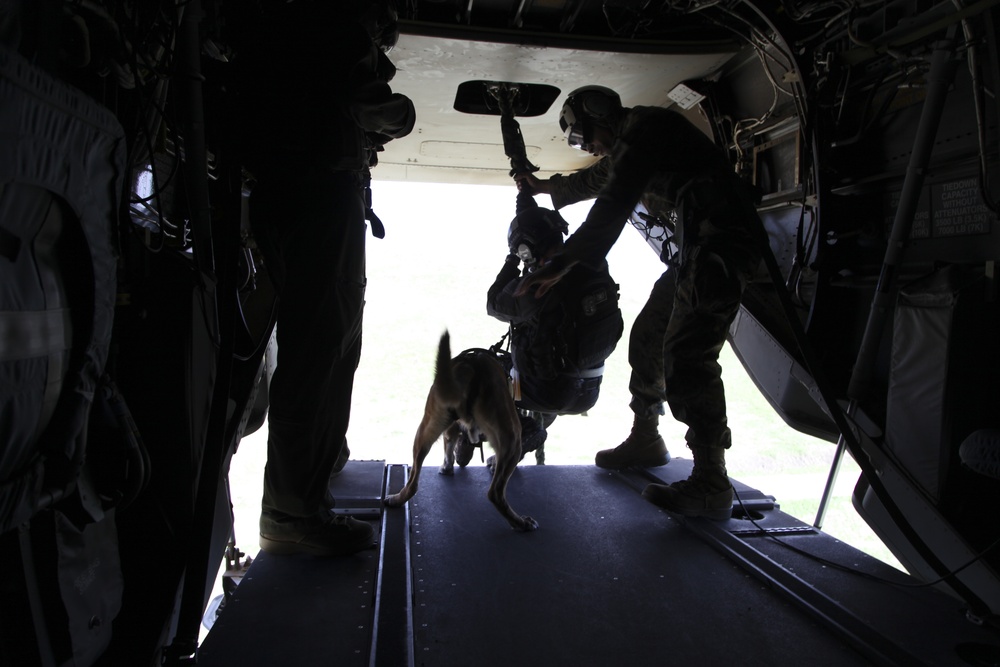 MARSOC K-9 Fast Roping