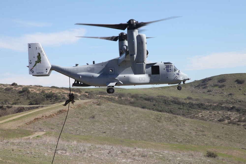 MARSOC K-9 Fast Roping