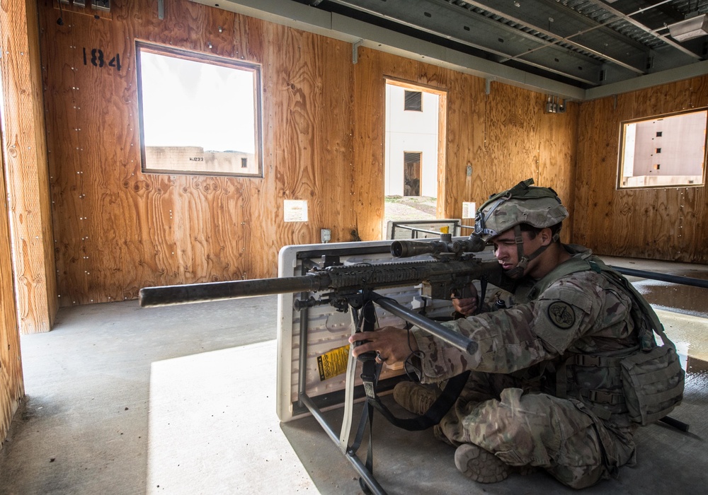 3rd Cavalry Soldiers clear a town