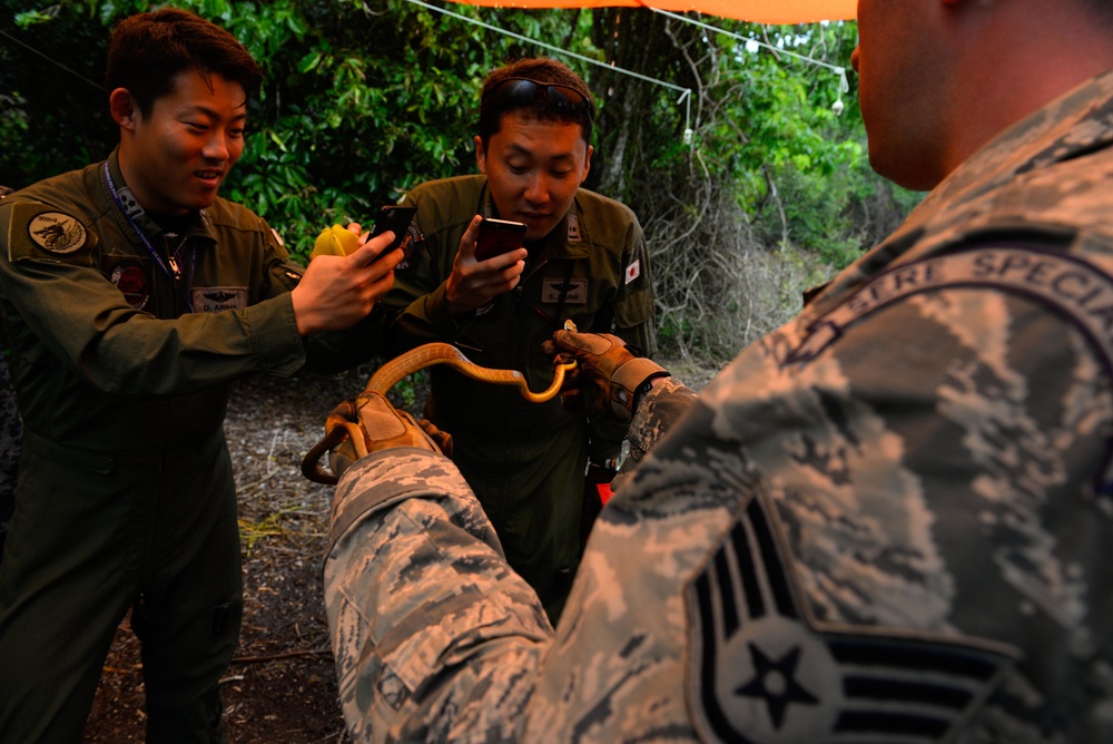 US, Japanese Airmen conduct survival training during Cope North 16