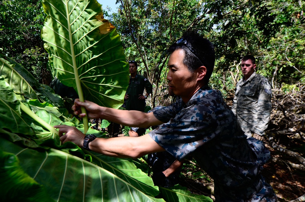 US, Japanese Airmen conduct survival training during Cope North 16