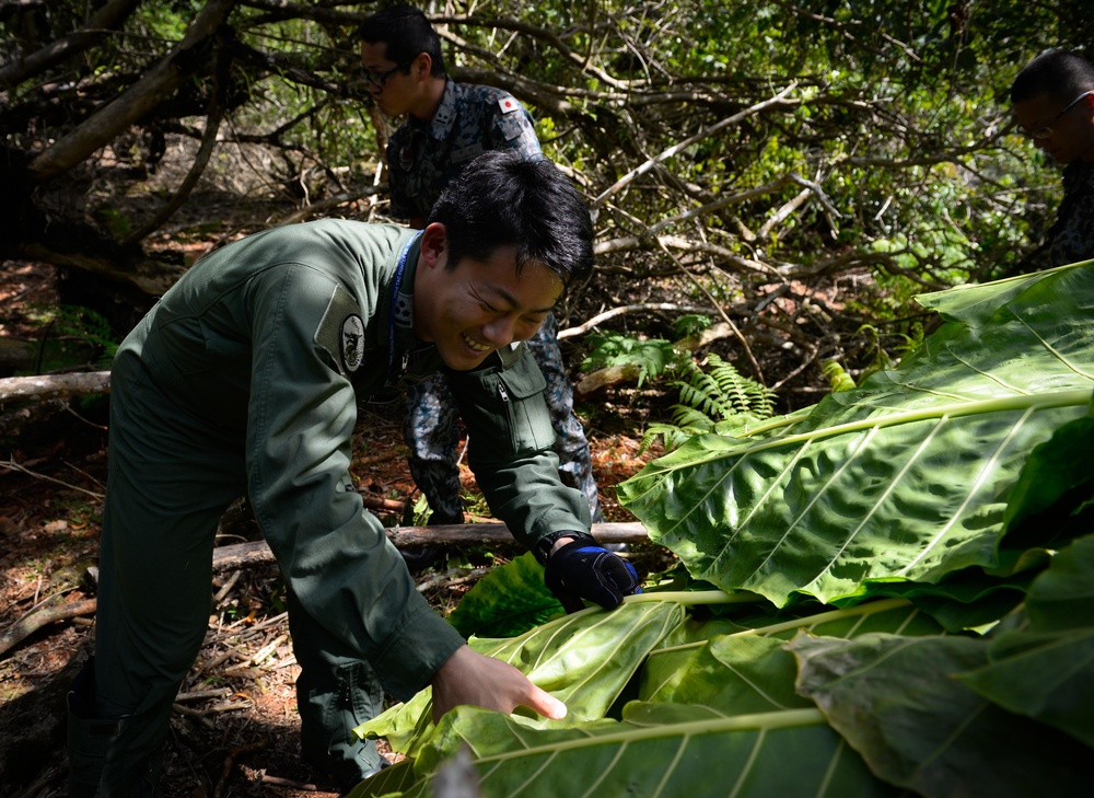 US, Japanese Airmen conduct survival training during Cope North 16