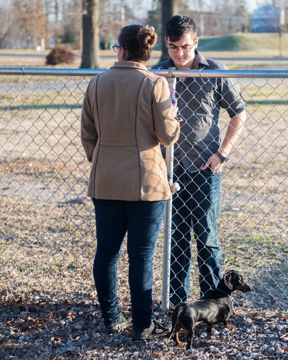 Dogs on Deployment