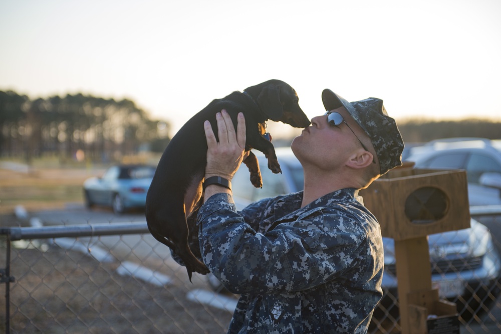 Dogs on Deployment