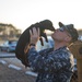Dogs on Deployment