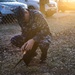 Dogs on Deployment