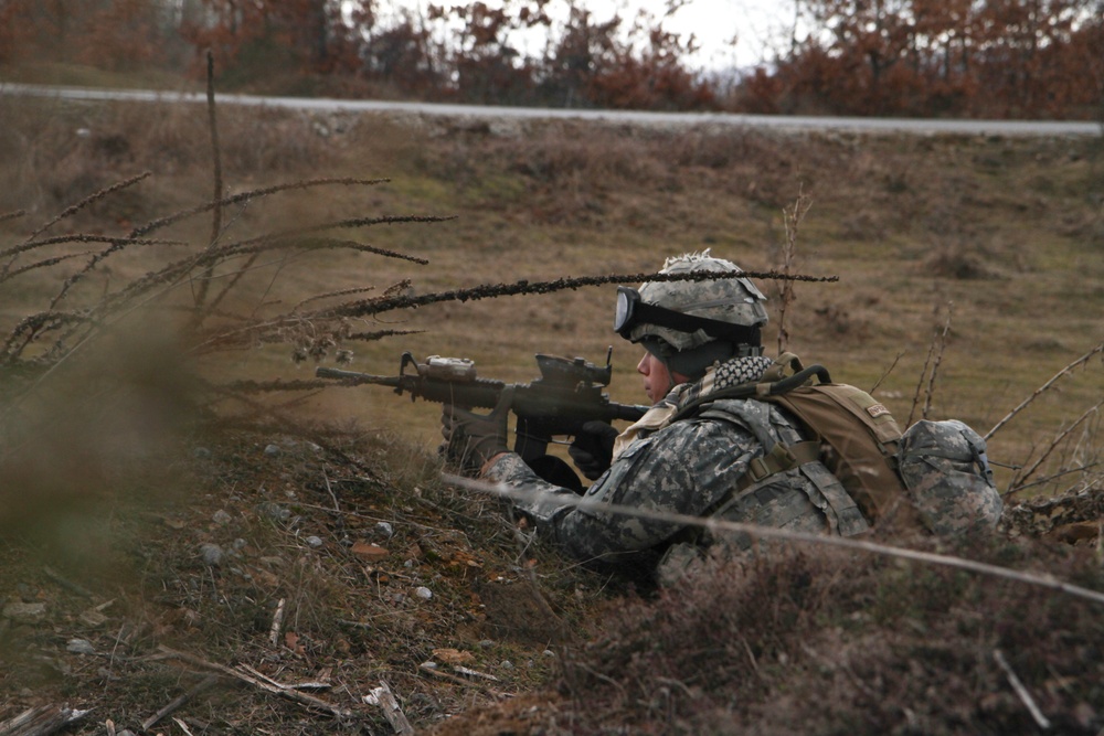 DVIDS - Images - US Army Soldiers take platoon level training to higher ...