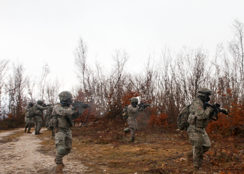 US Army Soldiers take platoon level training to higher elevation