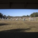 Rifle qualification