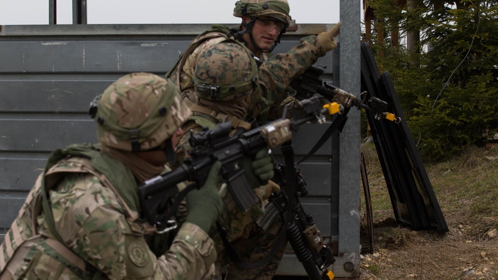 Georgian mission rehearsal exercise