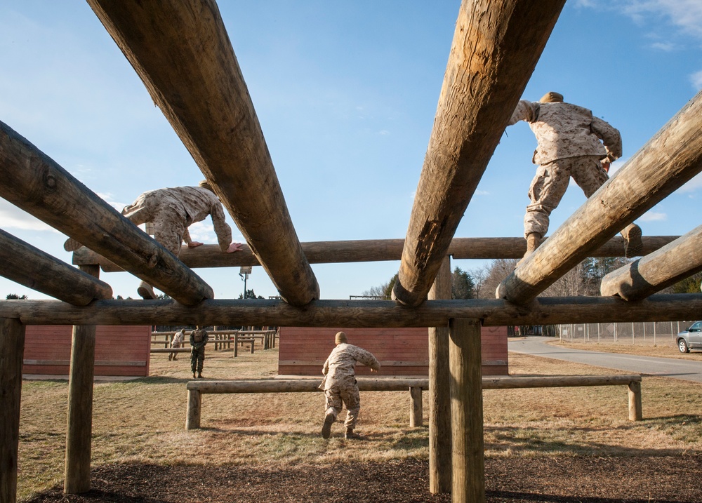 Delta Company Obstacle Course