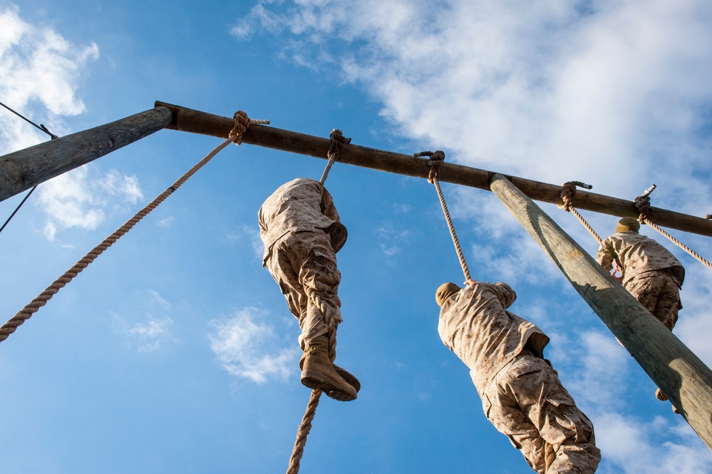 Delta Company Obstacle Course