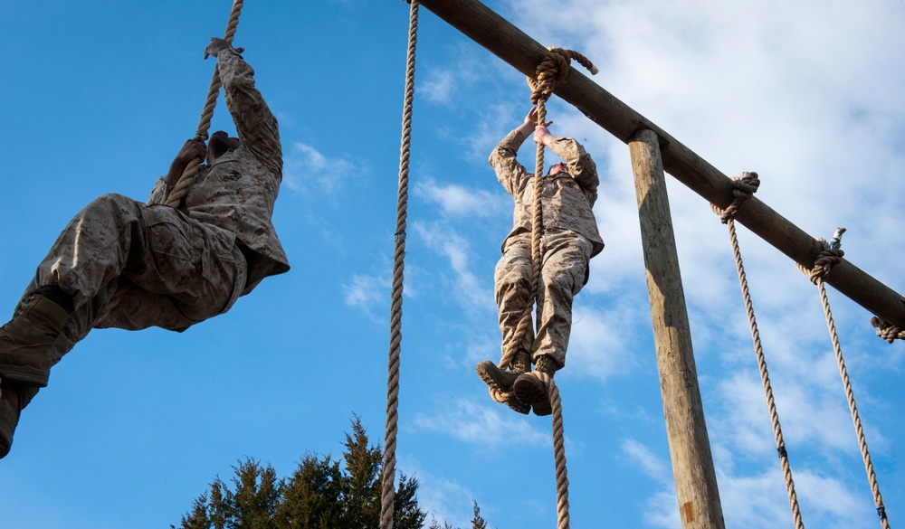 Delta Company Obstacle Course