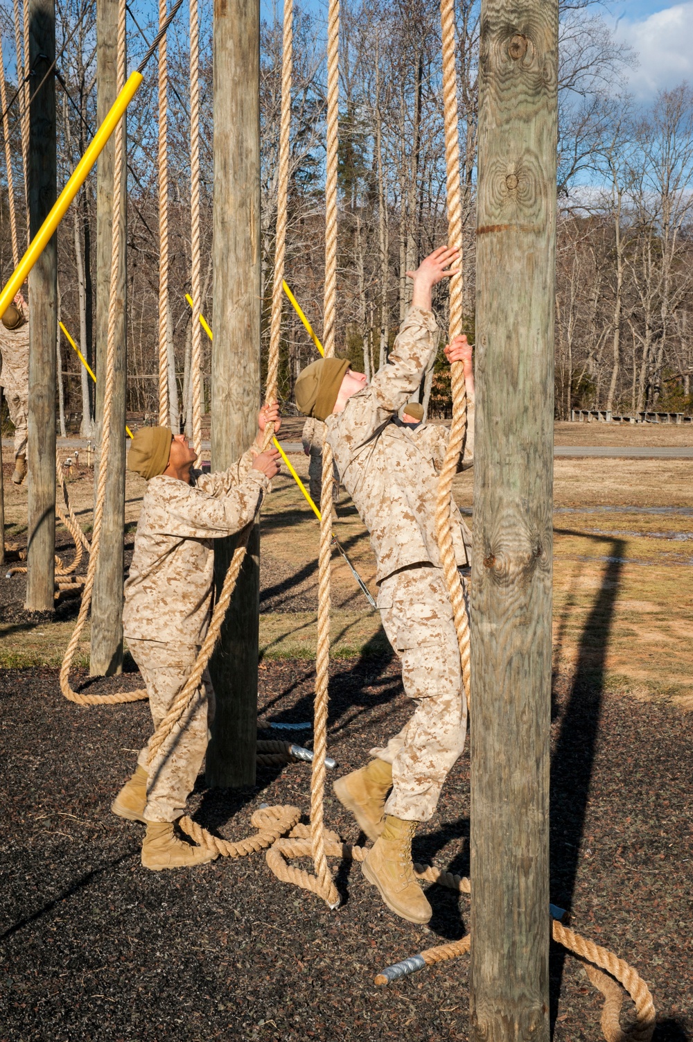 Delta Company Obstacle Course