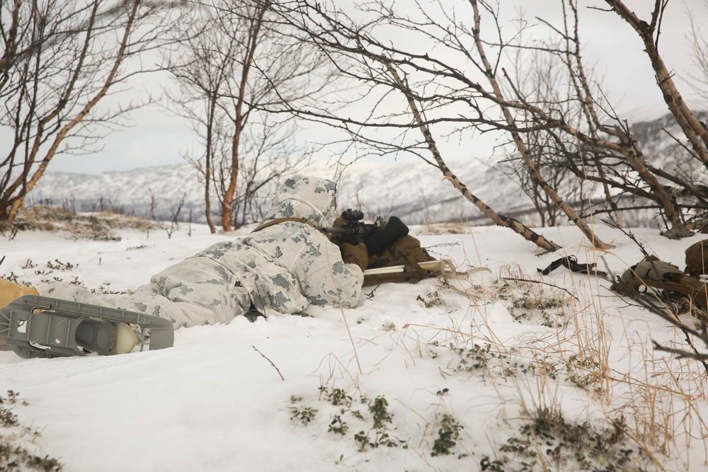 BSRF Marines complete cold-weather training inside Arctic Circle