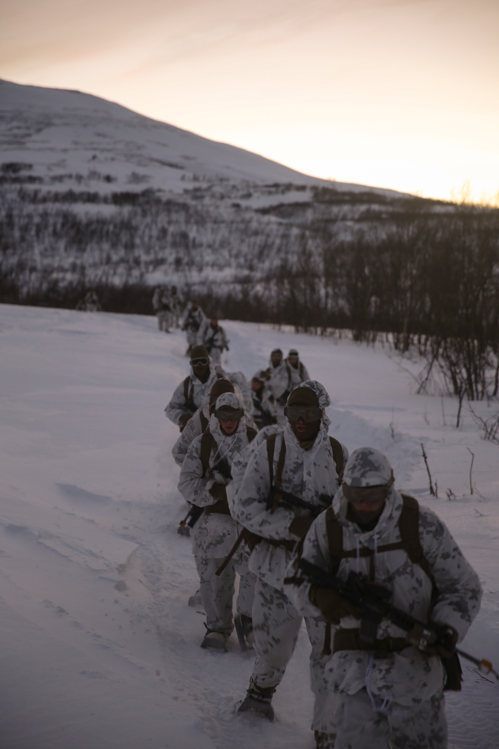 BSRF Marines complete cold-weather training inside Arctic Circle