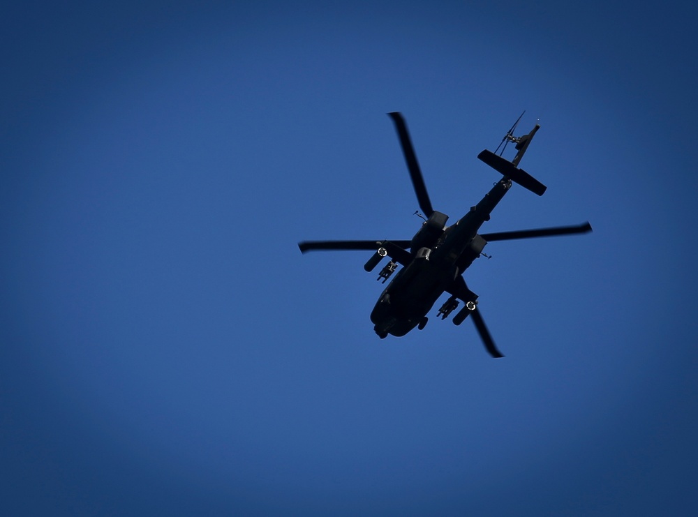 Exercise Eagle Eye